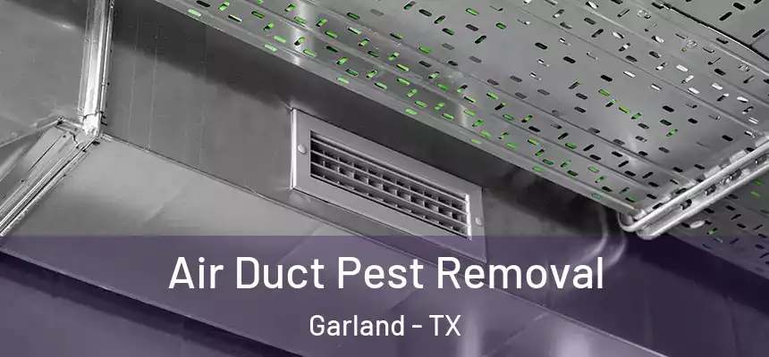 Air Duct Pest Removal Garland - TX