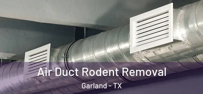 Air Duct Rodent Removal Garland - TX