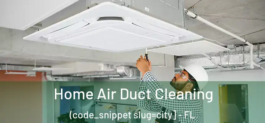  Home Air Duct Cleaning (code_snippet slug=city] - FL