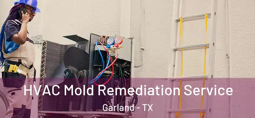 HVAC Mold Remediation Service Garland - TX