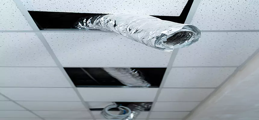 Affordable HVAC Sanitizing After Pest Removal in Garland