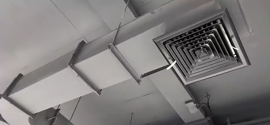 Restorative Allergy Relief Vent Cleaning – Coil, Blower & Housing Detail in Garland