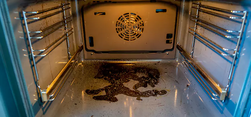 Our Dryer Vent Mold Cleaning Services in Garland, TX