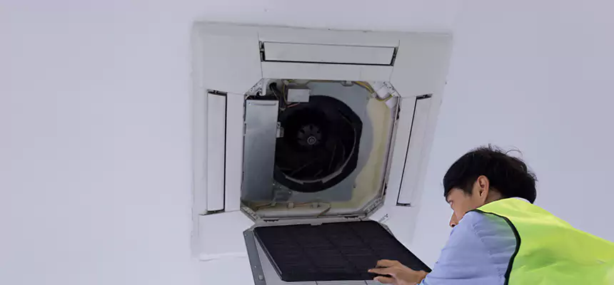 Our Dryer Vent Sanitization Service Services in Garland, TX
