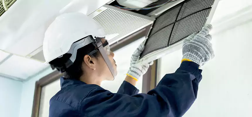 Our Mold & Mildew Removal from Air Ducts Services in Garland, TX