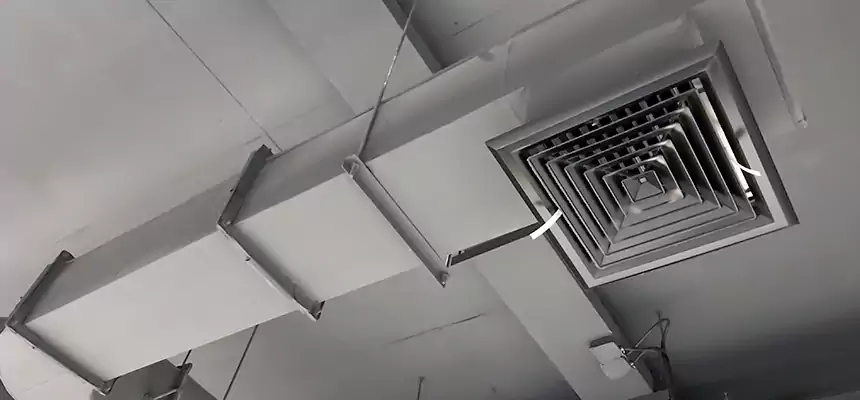 Our Pest Removal From Ducts Services in Garland, TX