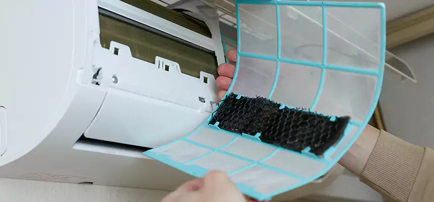 Gentle Ductwork Odor-Control Pet Dander Duct Cleaning in Garland, TX