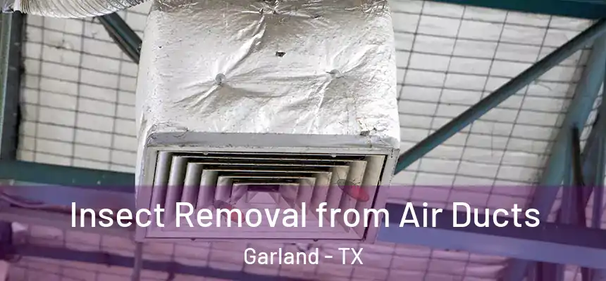 Insect Removal from Air Ducts Garland - TX