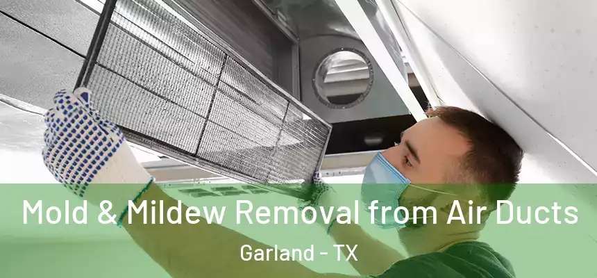 Mold & Mildew Removal from Air Ducts Garland - TX