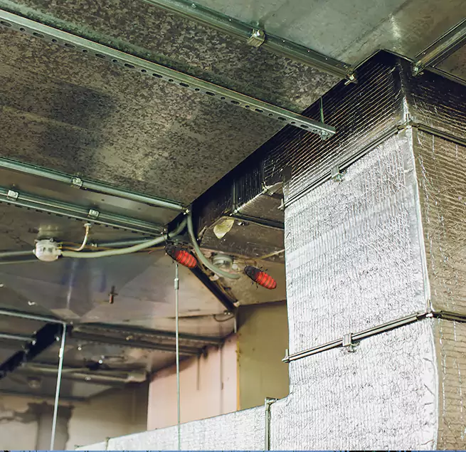 Why Homeowners & Businesses Trust Us in Garland, TX?