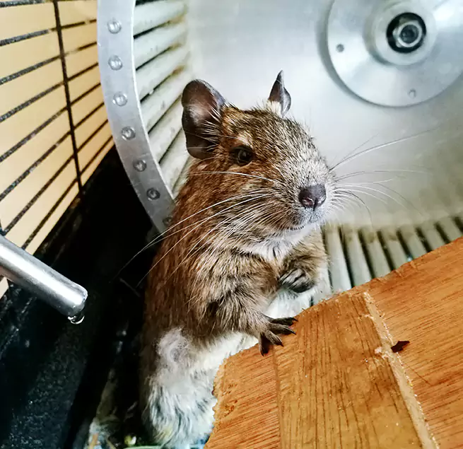 Why Homeowners & Businesses Trust Us Garland, TX?