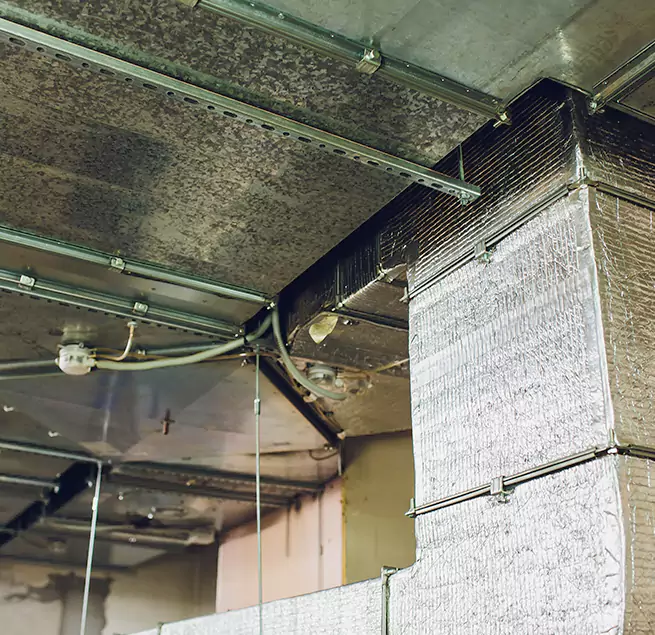 Why Homeowners & Businesses Trust Us in Garland, TX?